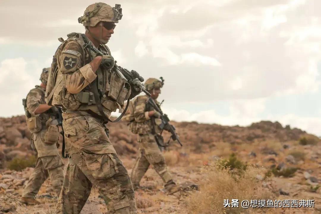 军事新闻24小时，全球军事动态深度解析，全球军事动态24小时深度解析