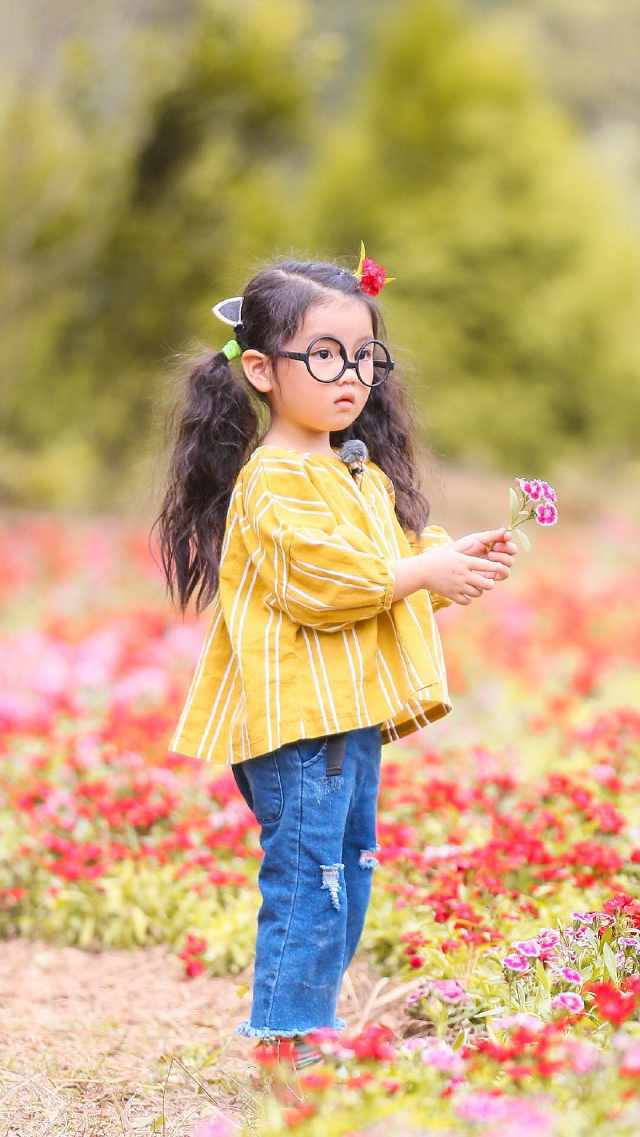 美言图网，探索美好言辞与视觉艺术的交融之地，美言图网，美好言辞与视觉艺术的交融盛宴