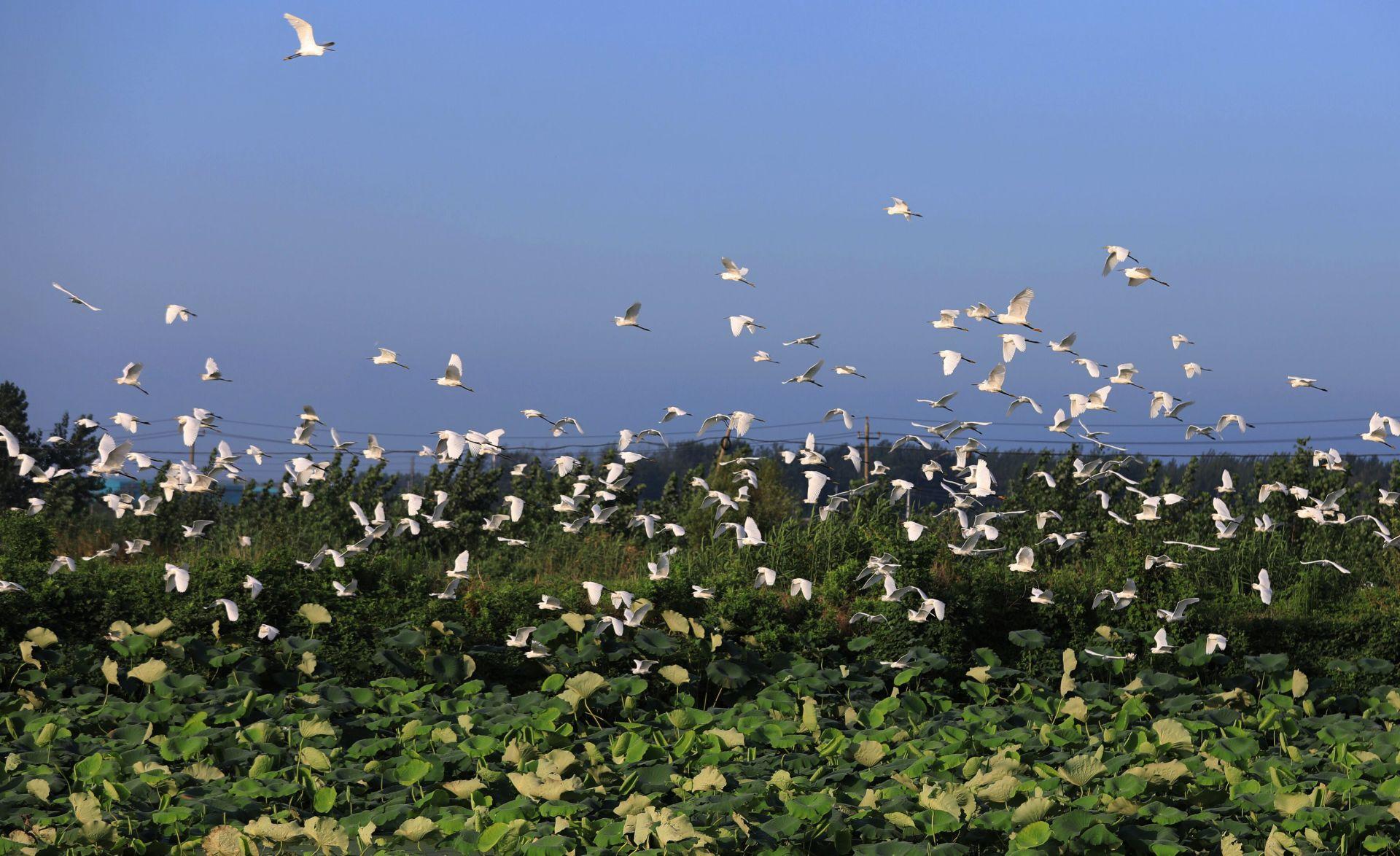 两岸头条新闻,深化交流,共融共生,两岸深化交流,共融共生,头条新闻聚焦两岸关系发展