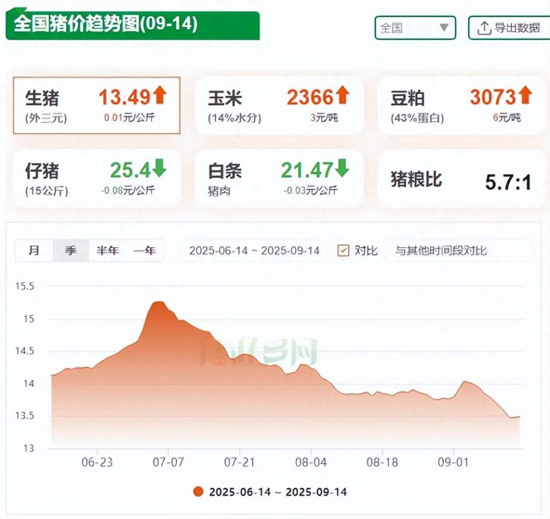 今天生猪价的市场动态与影响因素分析，今日生猪市场动态及影响因素解析