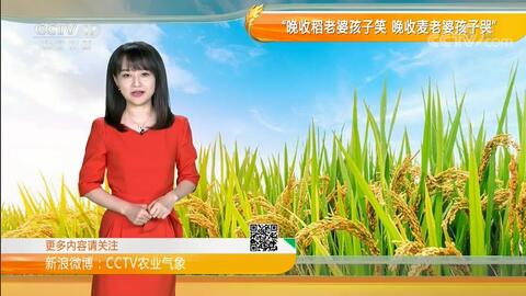 CCTV农业农村频道，展现乡村振兴的窗口，CCTV农业农村频道，乡村振兴的展示窗口