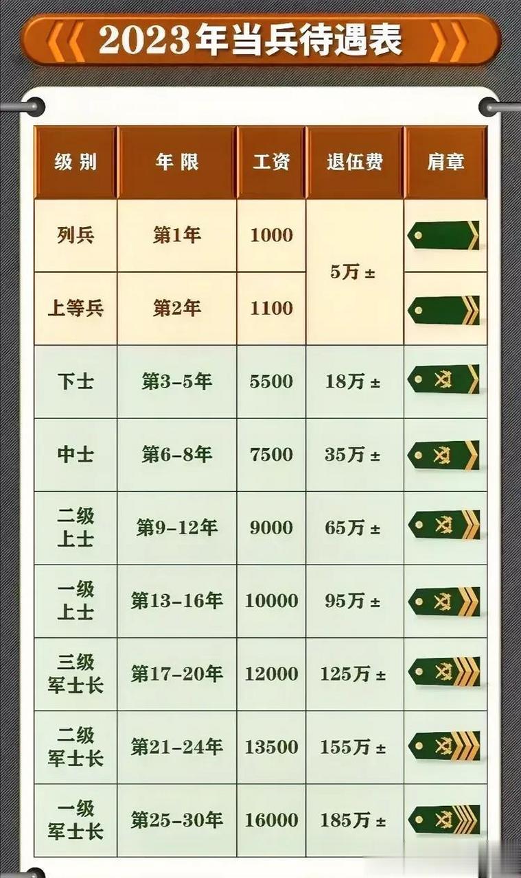 揭秘2023年部队士官改革最新动态，揭秘，2023年部队士官改革最新进展与动态