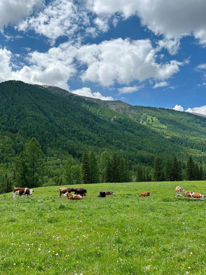 巴音布鲁克旅游攻略，巴音布鲁克旅游指南