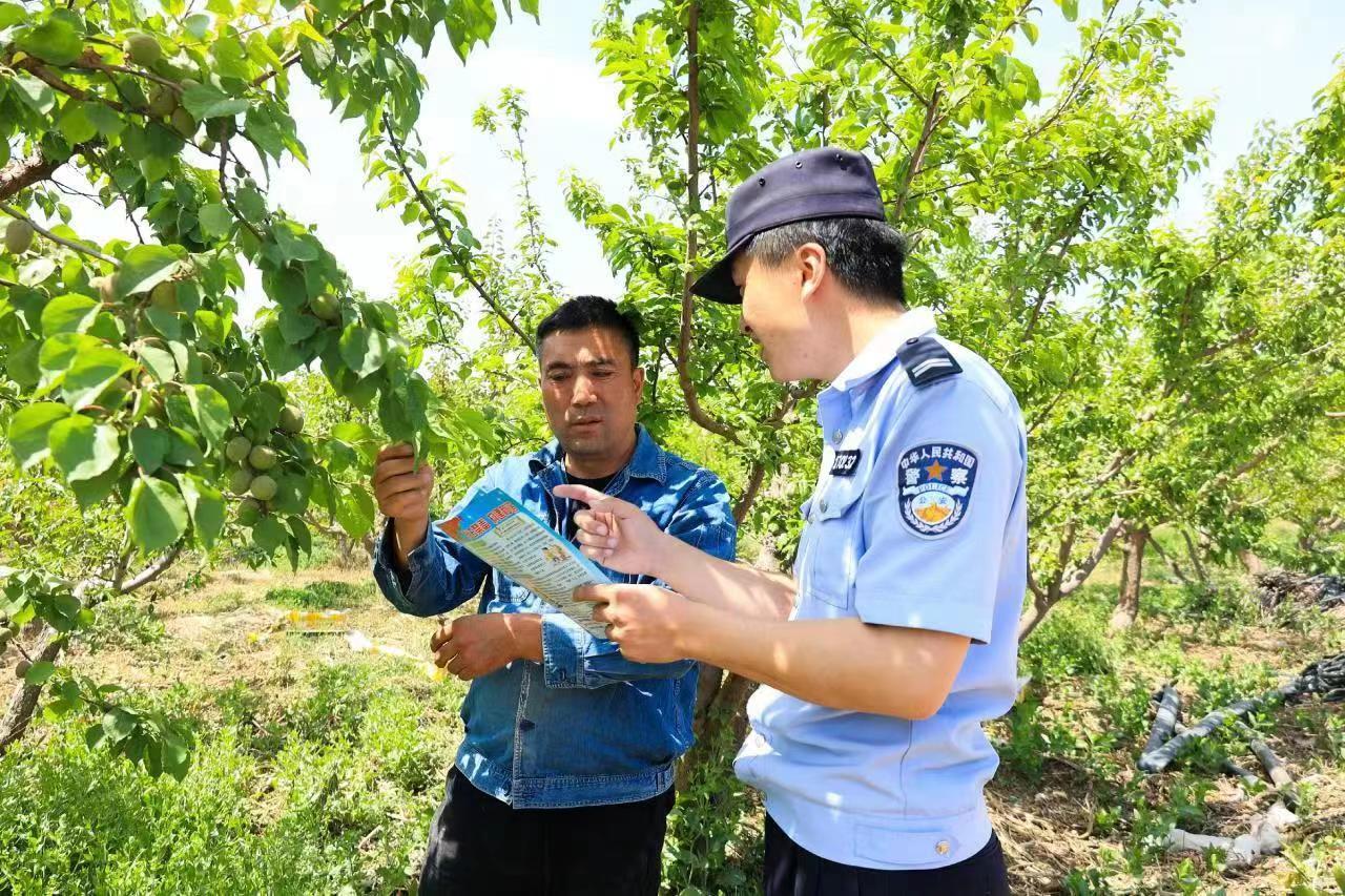 护卫队与警察，职责、角色与差异，护卫队与警察，职责、角色差异解析