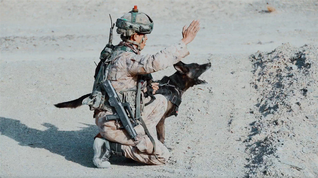 雷神突击队队长黎海瑞,勇者无畏,领袖之担当,雷神突击队队长黎海瑞,勇者领袖,无畏担当