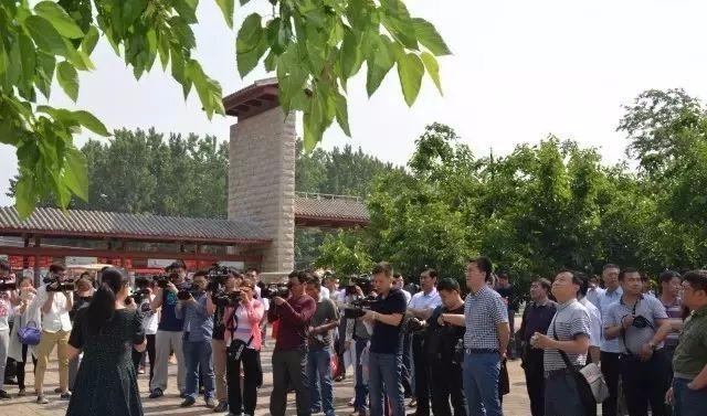 世界新闻报,聚焦全球,揭示不同国家的独特视角,全球独特视角聚焦,世界新闻报揭示各国风采