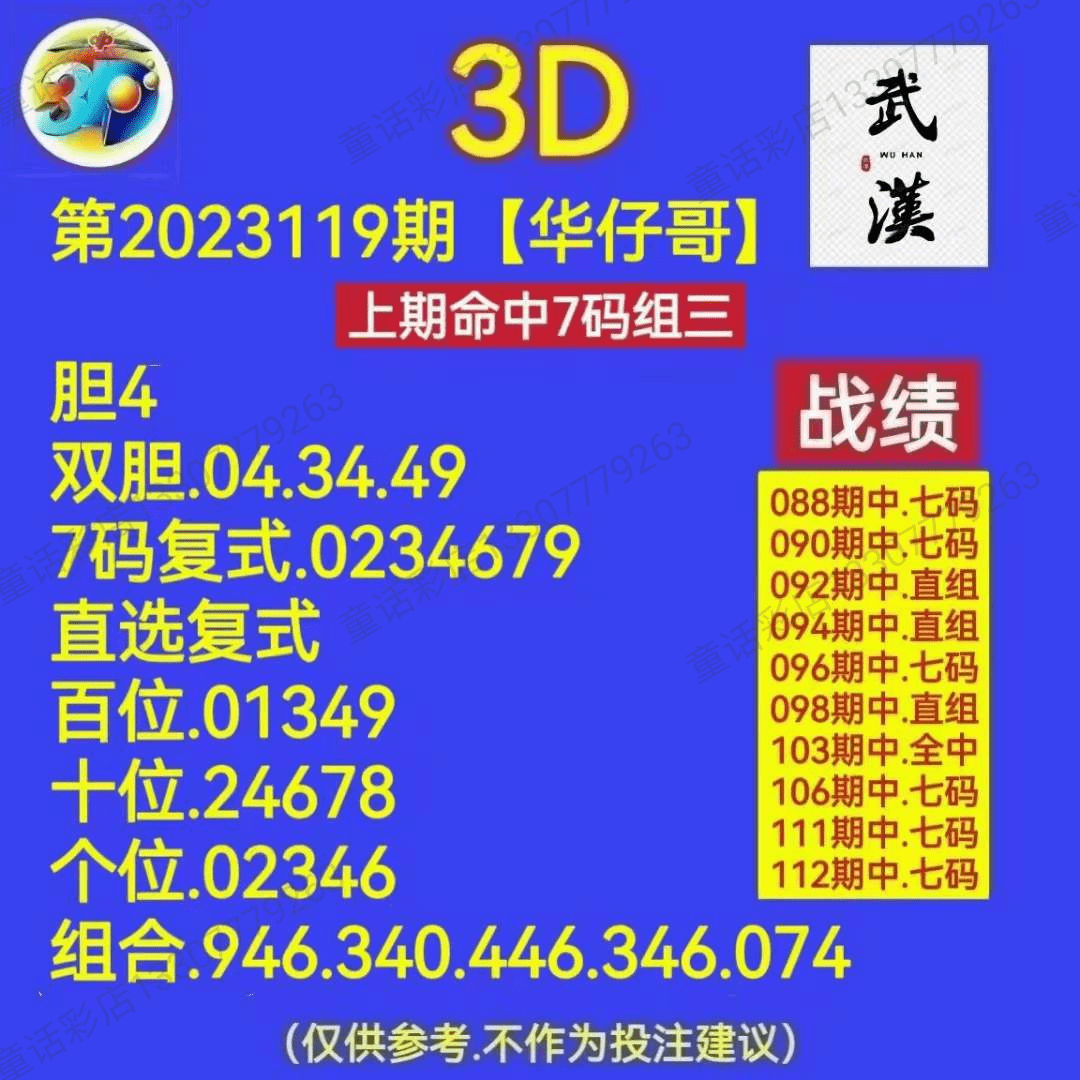 王中王三肖一码资料解析,王中王三肖一码资料深度解析