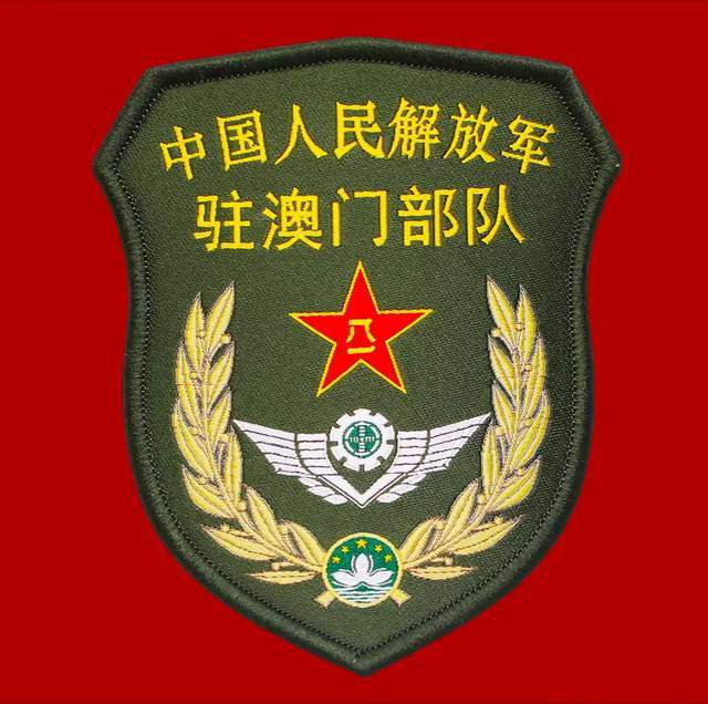 空降兵第十五军全套臂章,荣耀与传承的象征,空降兵第十五军全套臂章,荣耀传承的象征