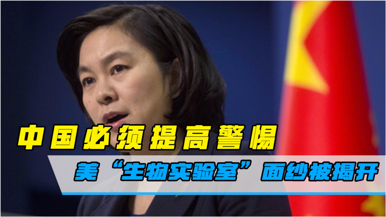 美国曝出惊天消息，揭秘背后的真相与挑战，美国惊天揭秘，真相背后的挑战与揭秘之旅