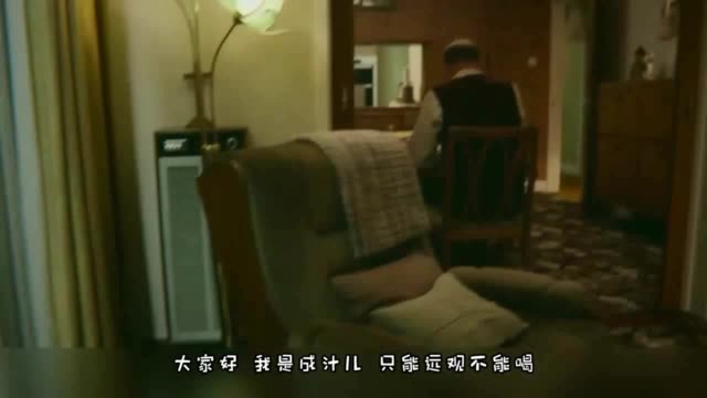 社会现象深度剖析