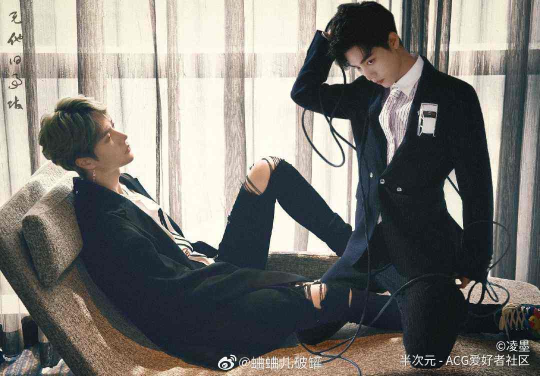 王中王一肖资料com深度解析，王中王一肖资料深度解析与解析com