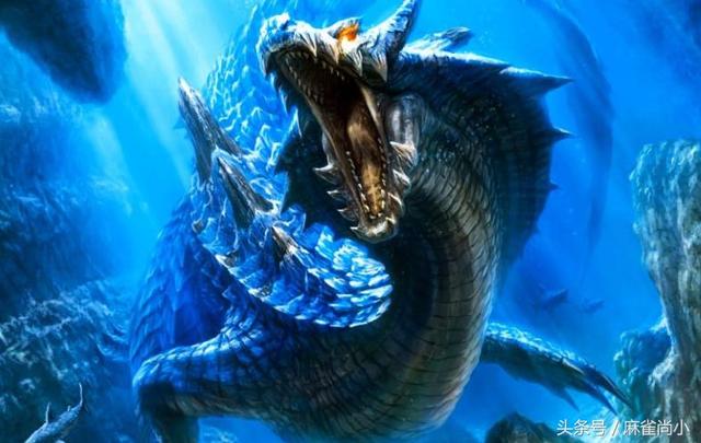 揭秘蛟龙600的真实水平，性能、技术及应用前景探讨，揭秘蛟龙600，性能、技术及应用前景深度探讨。