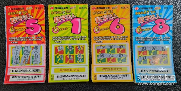 王中王美人鱼平特一肖，神秘与传奇的交融，神秘与传奇的交融，王中王美人鱼平特一肖