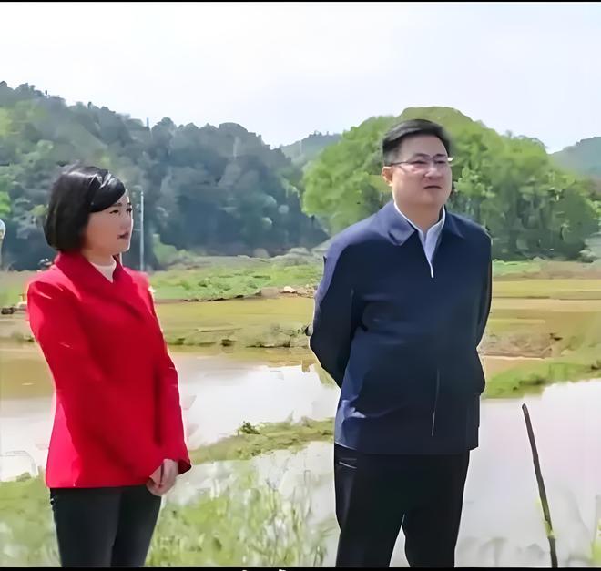 李佩霞最新消息，闪耀的光芒继续照耀，李佩霞最新动态，光芒继续闪耀