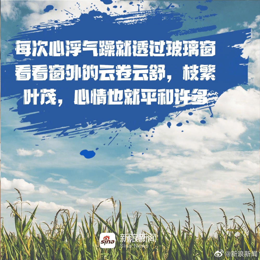 今天的日子，生活的细微美好与无限可能，今日生活的细微美好与无限潜能