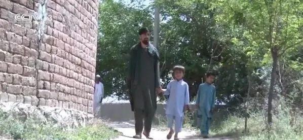 探究i10052b的多维特性与应用前景,i10052b多维特性解析与应用前景展望