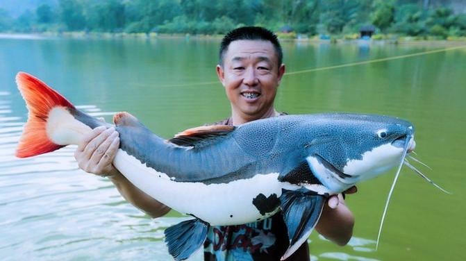 军舰的颜色，海洋上的独特标识，军舰颜色，海洋上的独特标识