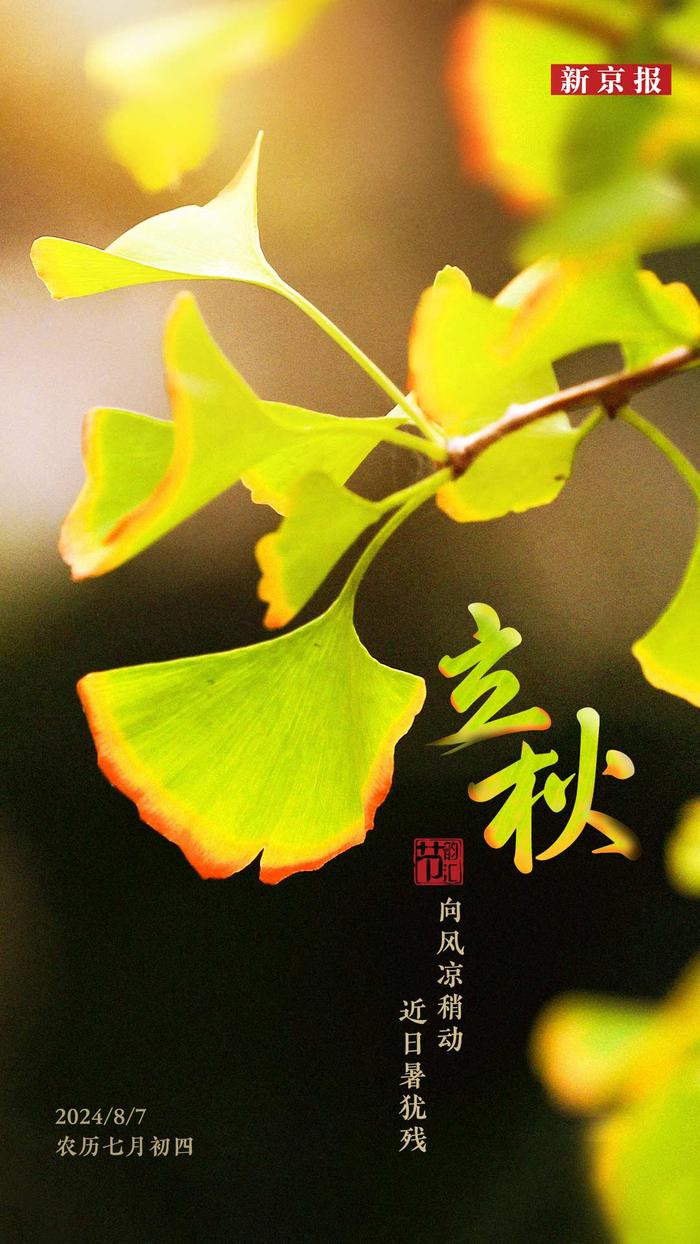 今日立秋时分,秋意渐浓,今日立秋,秋意渐浓时节来临