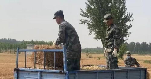 肖思远学校,培育未来的摇篮,肖思远学校,未来人才的摇篮培育地