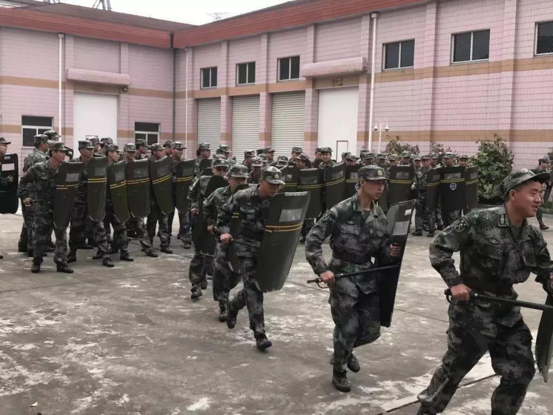 国防动员系统地位与作用,国家安全的重要支柱,国防动员系统,国家安全的关键支柱与重要角色