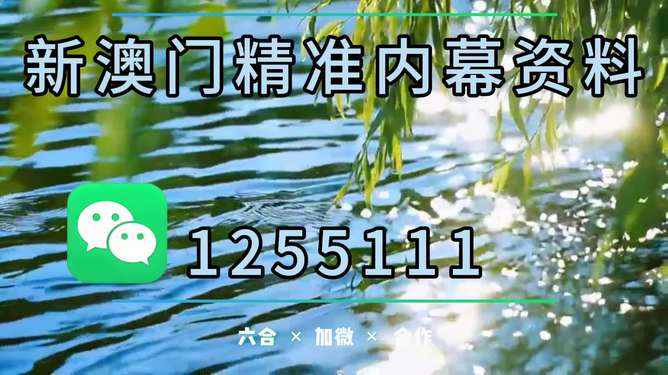 澳门特马必开一肖，文化、传统与现代的交融，澳门特马必开一肖，文化、传统与现代的交融盛宴