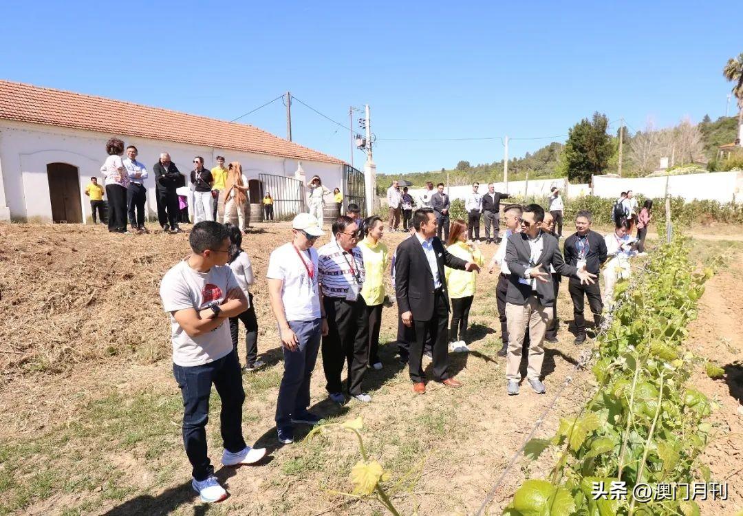 最新解析与探索