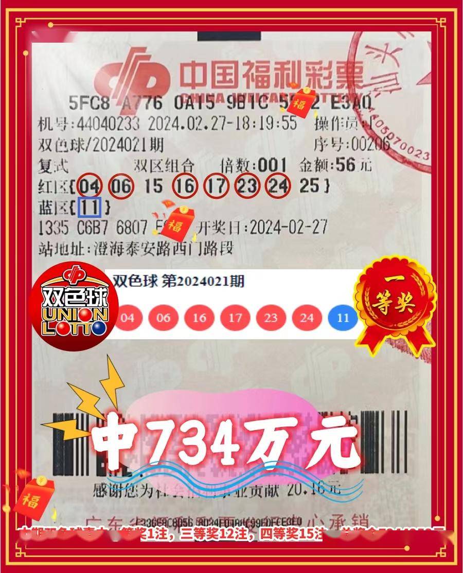 关于数字组合王中王平特一肖C与数字224558的探讨,数字组合王中王平特一肖C与数字224558的奥秘探讨