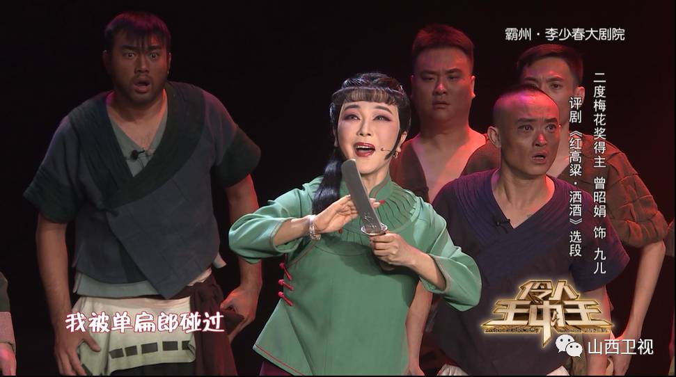 王中王四肖期期准一，探索与解析，王中王四肖期期准一，深度探索与解析