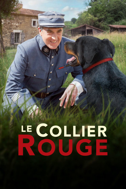 刘伯温四不像正牌一肖,神秘预言与传奇色彩的交织,刘伯温神秘预言与传奇色彩的交织,四不像正牌一肖揭秘