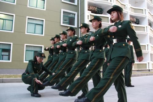 士官改革及其历史背景,哪一年成为关键转折点?,士官改革及其历史背景,关键转折点的年份解析