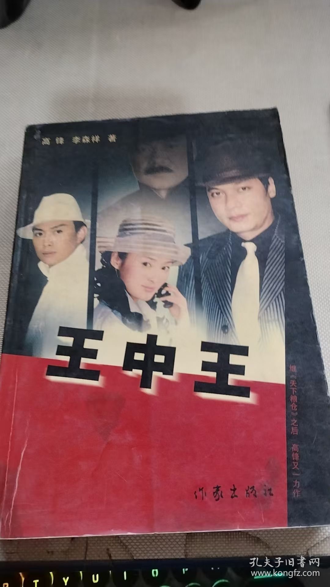 王中王资料一肖中特天，深度解析与探讨，王中王资料一肖中特天深度解析与探讨报告