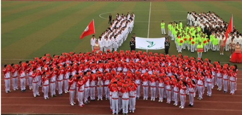 方队队形图案,展现力量与美的完美结合,方队队形图案,力量与美的和谐交融