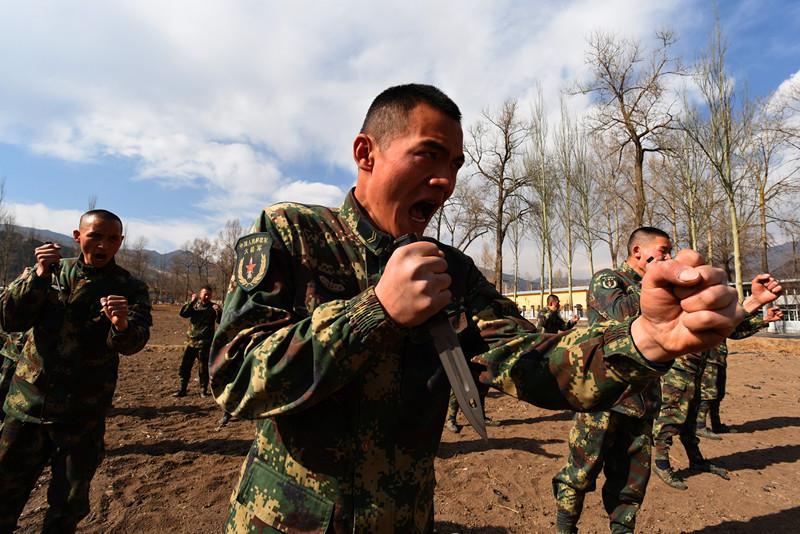 中国特种部队排名榜第一,荣耀与担当,中国特种部队荣登榜首,荣耀与担当的担当