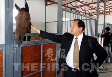 新澳门一肖一马图片资料及其背后的文化历史,澳门生肖文化历史揭秘,一肖一马图片资料背后的故事
