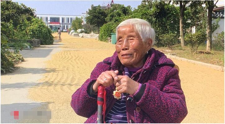 志愿军唱的歌,时代的旋律,精神的旗帜,志愿军歌曲,时代旋律与精神的旗帜