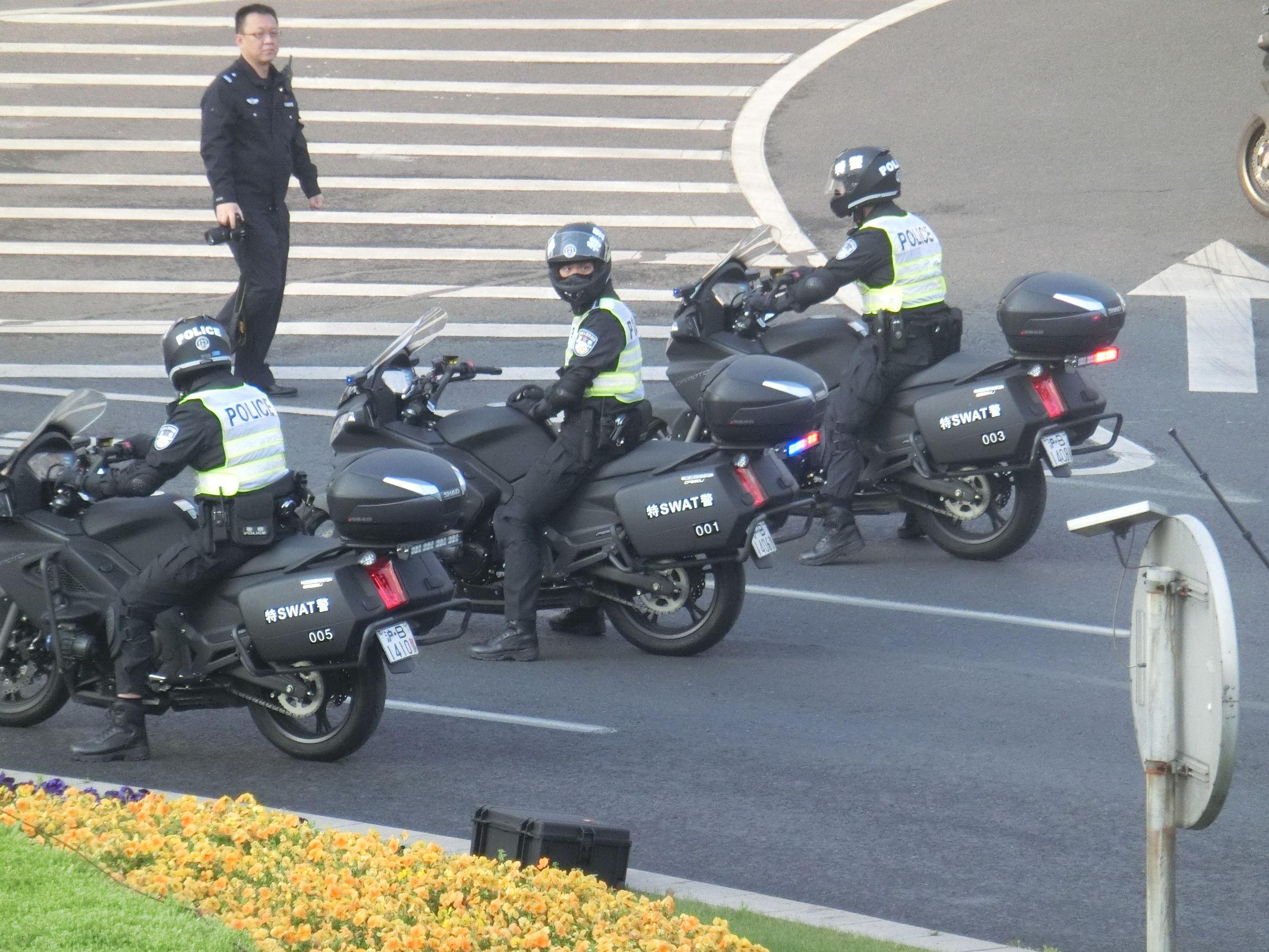 北京武警总队国宾护卫队,荣耀与担当的象征,北京武警总队国宾护卫队,荣耀与担当的典范