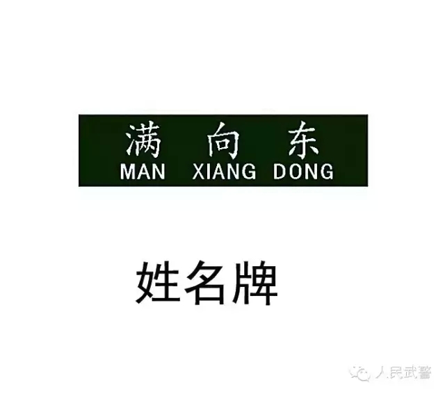 国宾护卫队臂章高清,荣耀与责任的象征,国宾护卫队臂章,荣耀与责任的象征(高清)
