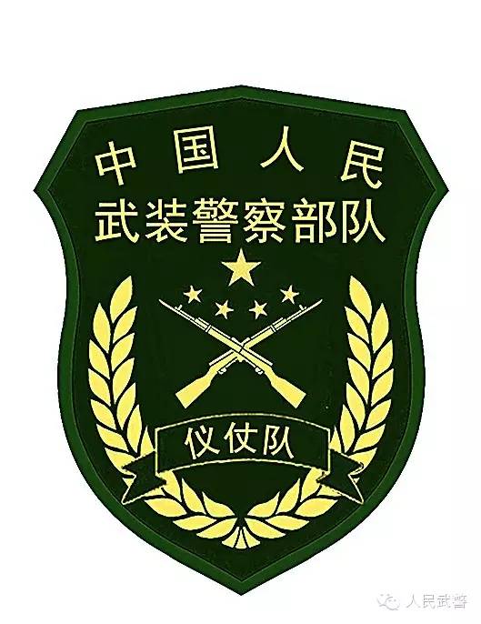 国宾护卫队臂章高清,荣耀与责任的象征,国宾护卫队臂章,荣耀与责任的象征(高清)