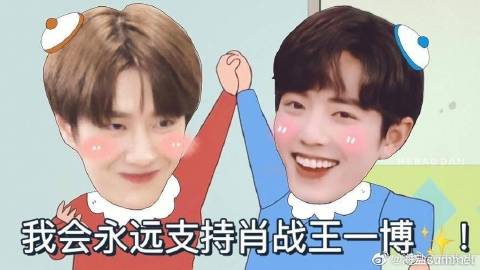 王中王一肖一特一期期中的深度解读,王中王一肖一特一期深度解读报告