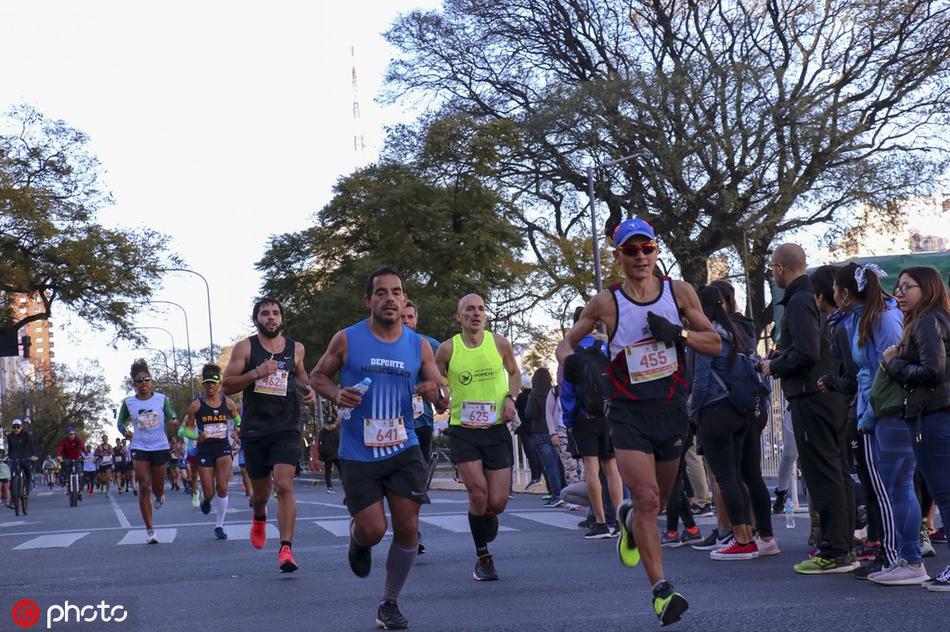 揭秘刘伯温平特一肖图的神秘面纱,刘伯温平特一肖图神秘面纱揭秘