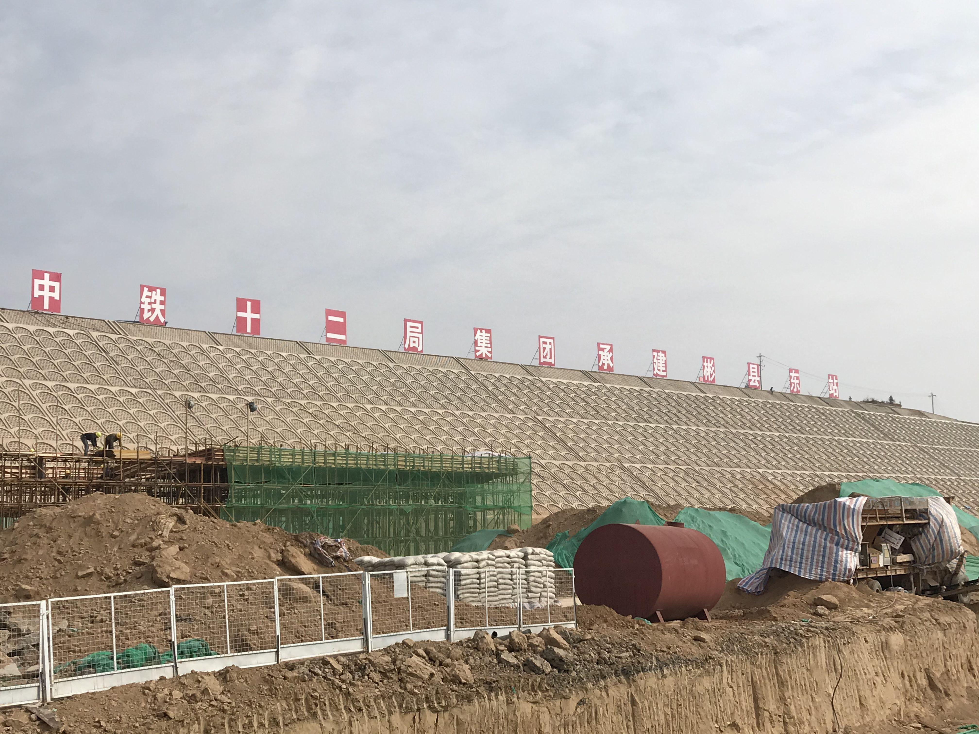 最新消息,坐高铁是否需要核酸检测?详解与应对建议,最新消息,高铁出行核酸检测要求详解及应对建议