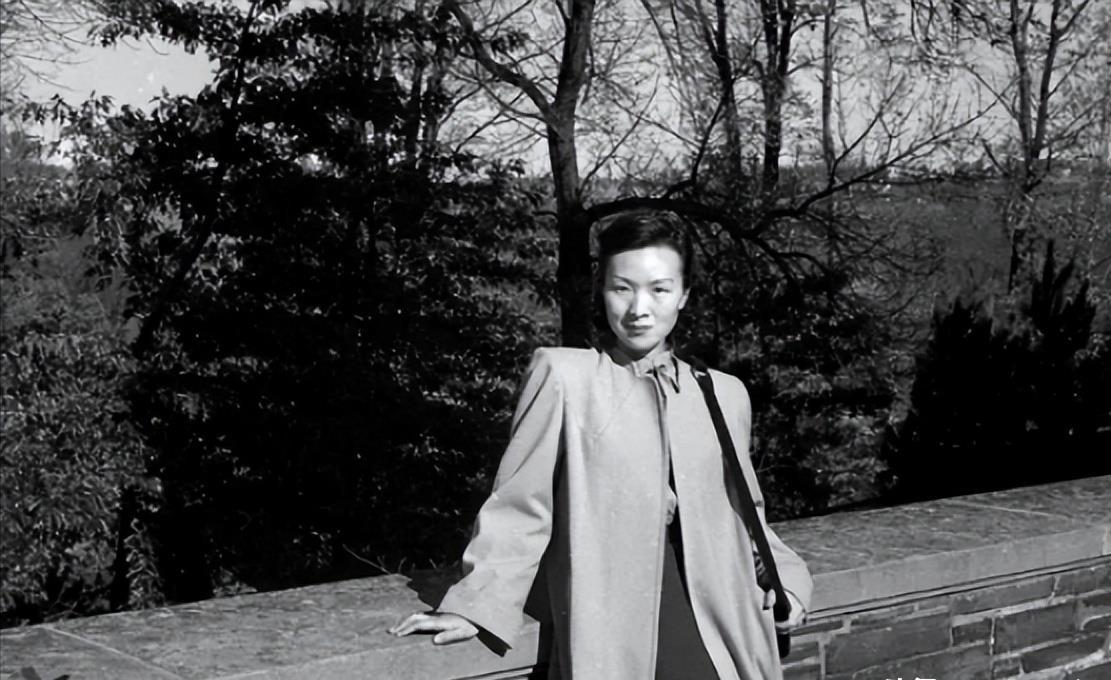 日本历史上的内战，探寻历史真相，探寻日本历史上的内战真相