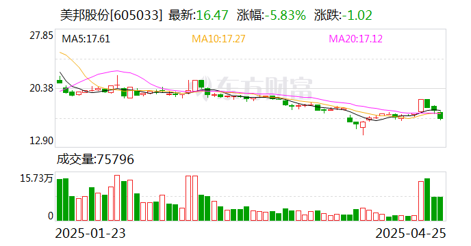 美邦股票，投资视角的深度解析，美邦股票投资深度解析