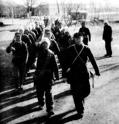 抗日勋章，荣耀与历史的见证，抗日勋章，荣耀与历史的独特见证