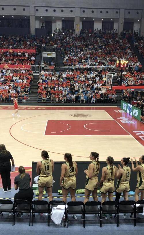 一肖拖一肖二中二中的组合方式与数量解析,一肖拖一肖二中二中组合方式与数量深度解析