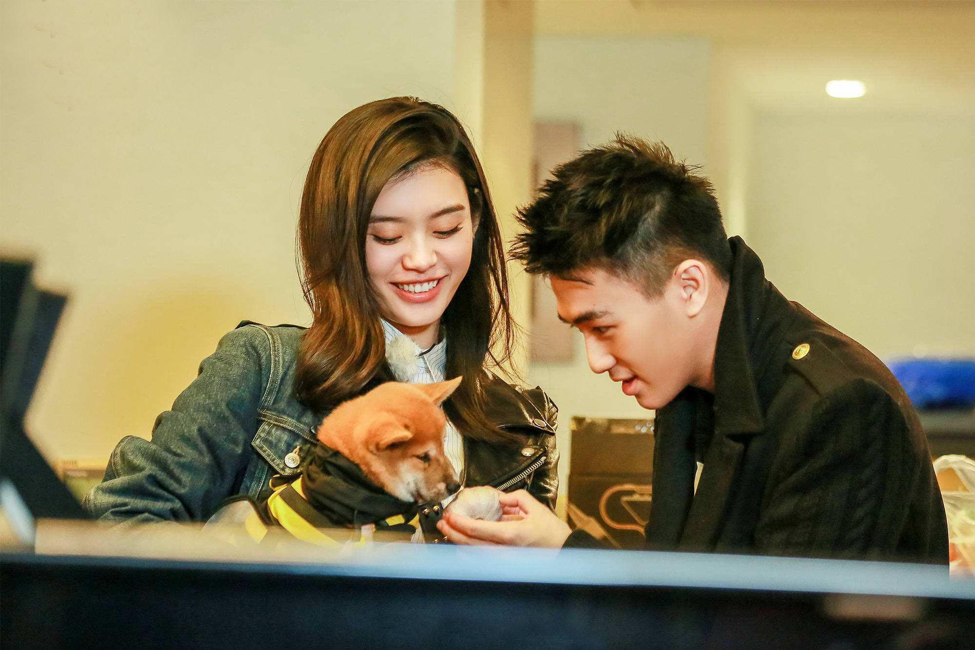 新澳门一码一码,探索真实准确的预测之道,澳门一码一码预测,探索真实准确的预测之路