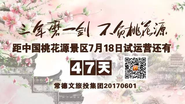 今日澧县新闻最新消息综述，澧县新闻今日综述，最新消息全解析