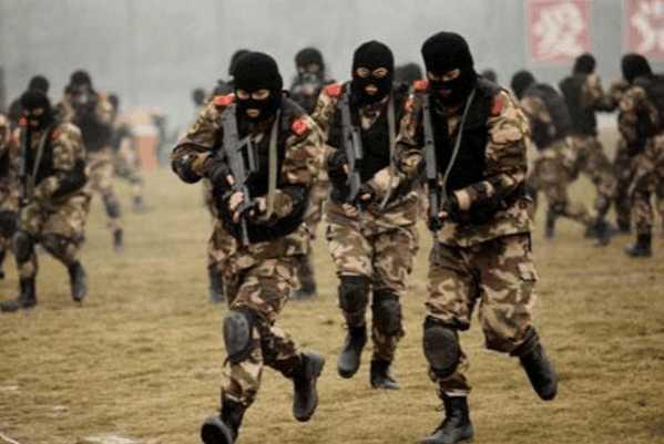 中国特种部队在全球的排名及其影响力,中国特种部队全球排名与影响力分析