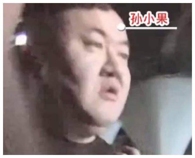 孙小果与十四集团军的独特故事,孙小果与十四集团军的非凡传奇故事