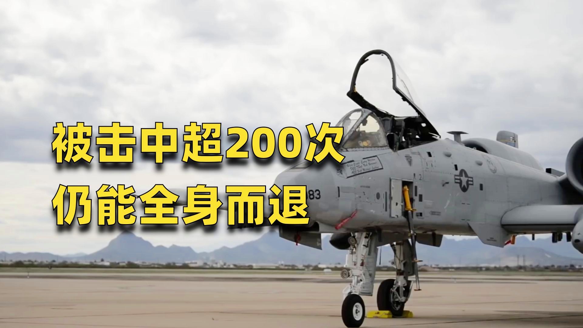 疣猪A10,草原上的独特魅力与生存智慧,疣猪A10,草原生存之独特魅力与智慧